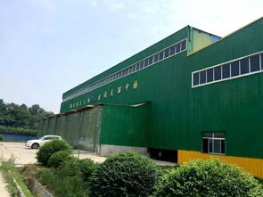 告別“一鍋燴” 渭南以“工業胃”分揀消化，探索生活垃圾資源化新路徑